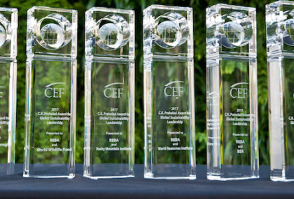 Meet the Winners of the 2017 C.K. Prahalad Award for Global Business Sustainability Leadership