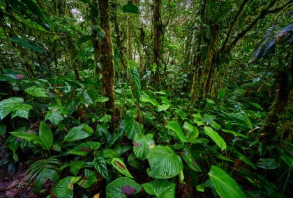 Meet the Winners of the 2025 CEFNext Sustainability Leadership Development Program