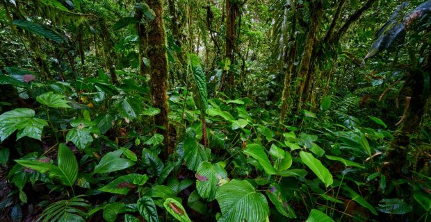 Meet the Winners of the 2025 CEFNext Sustainability Leadership Development Program